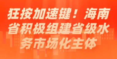 狂按加速鍵！海南省積極組建省級水務(wù)市場化主體